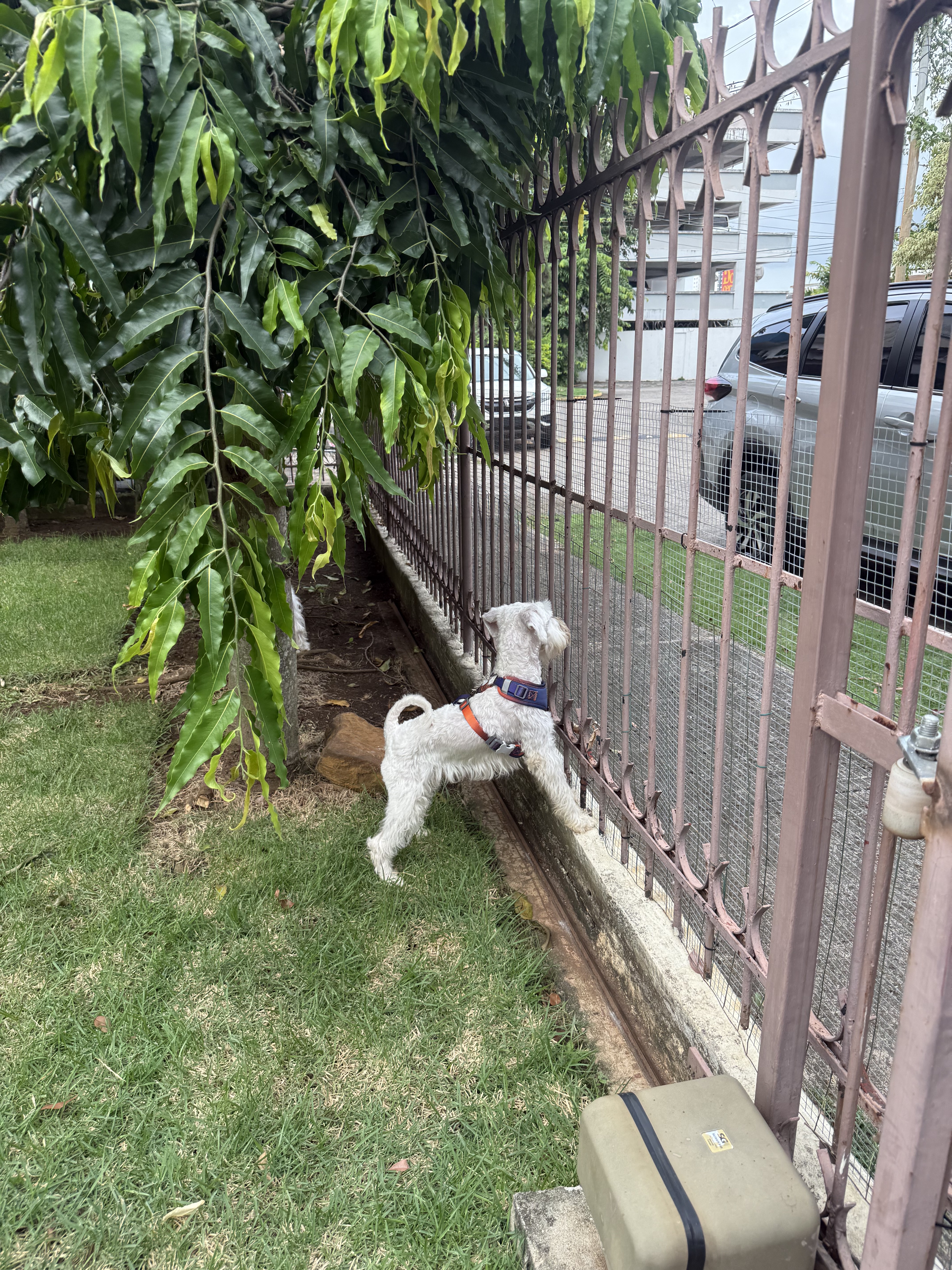 Mansión Perruna