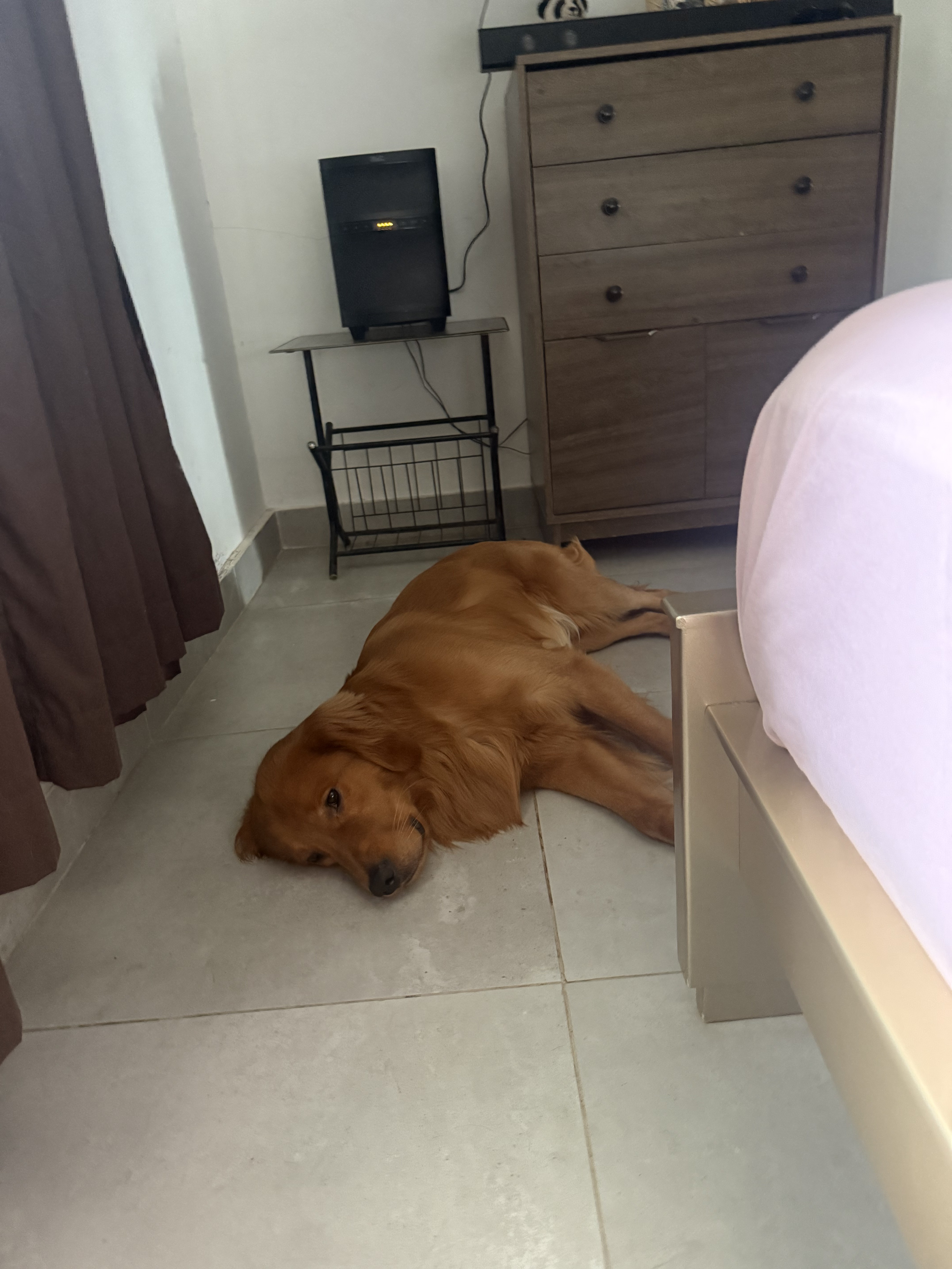Mansión Perruna