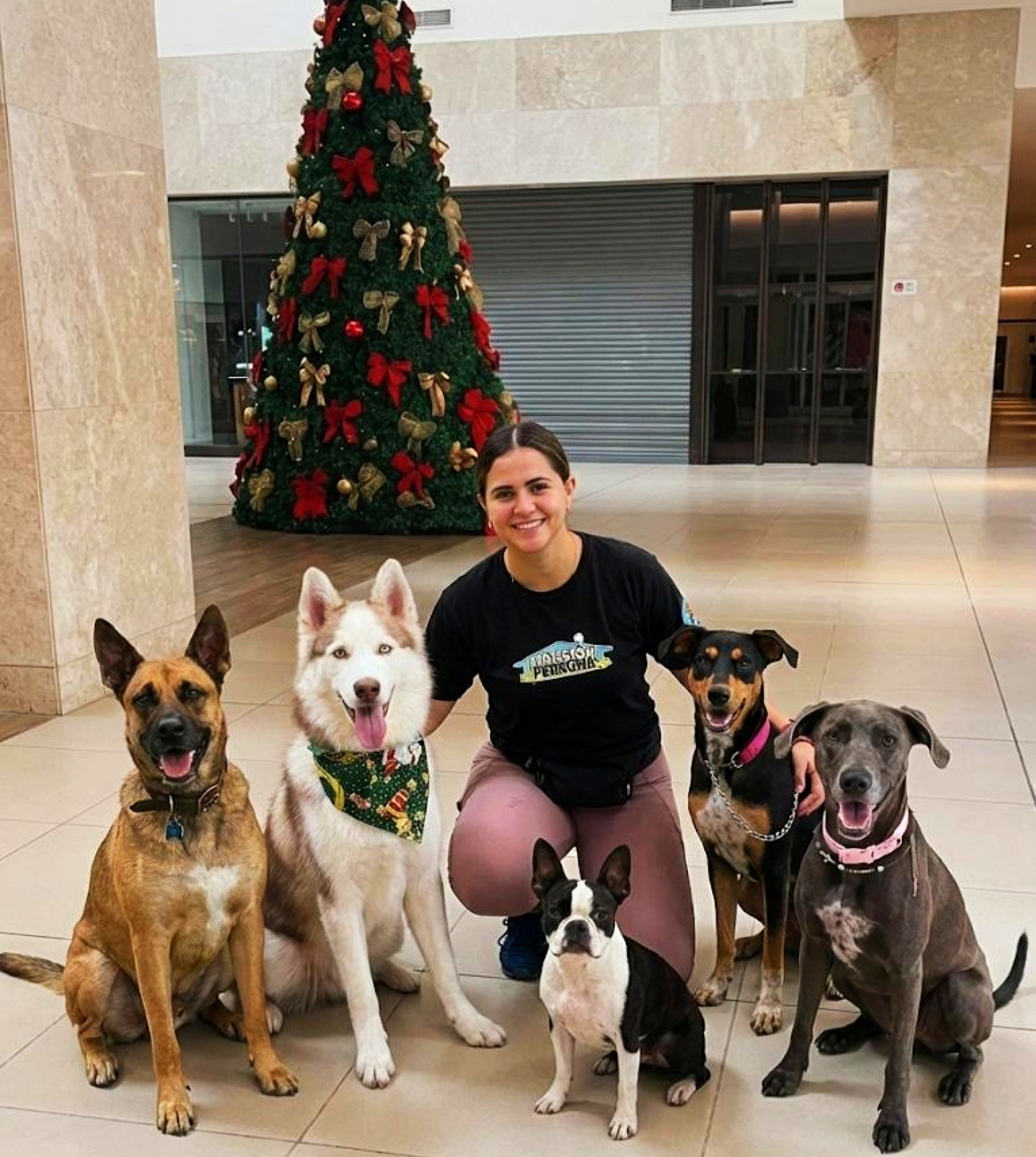 Navidad en Mansión Perruna